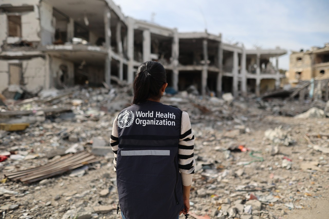 Mid-term results report 2024-2025