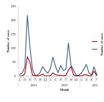 Fig._11._Number_of_MERS-CoV_cases_among_health_care_workers_and_non_health_care_workers_in_Saudi_Arabia_2014-2016 Fig._11._Number_of_MERS-CoV_cases_among_health_care_workers_and_non_health_care_workers_in_Saudi_Arabia_2014-2016