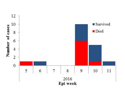 Fig._13._Number_of_MERS-CoV_cases_during_Buraida_outbreak_March_2016_n18 Fig._13._Number_of_MERS-CoV_cases_during_Buraida_outbreak_March_2016_n18