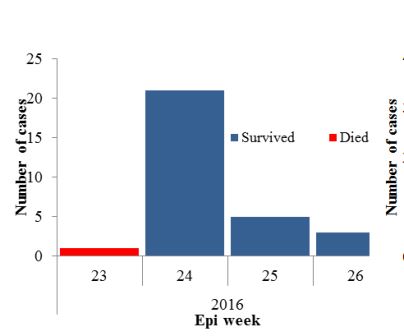 Fig._14._Number_of_MERS-CoV_cases_during_Riyadh_hopsital_outbreak_June_2016_n30 Fig._14._Number_of_MERS-CoV_cases_during_Riyadh_hopsital_outbreak_June_2016_n30