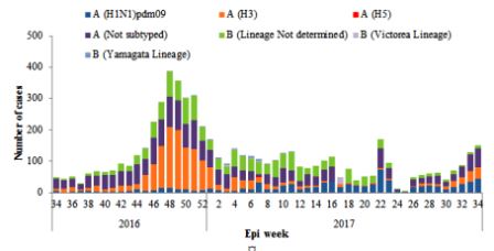 Figure 2. Weekly positive cases of influenza by subtype, Epi week 34/2016-2017 Figure 2. Weekly positive cases of influenza by subtype, Epi week 34/2016-2017