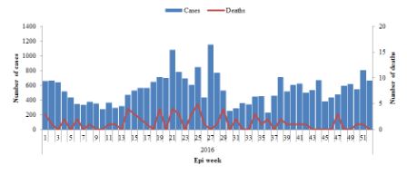 Figure 6. Suspected cases and deaths from Dengue fever reported in Yemen, Epidemiological week 1-52, 2016 Figure 6. Suspected cases and deaths from Dengue fever reported in Yemen, Epidemiological week 1-52, 2016