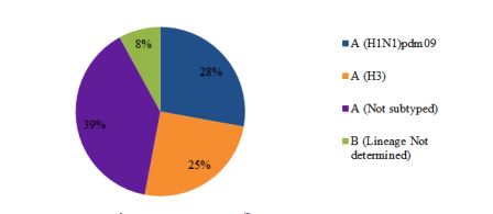 Fig 3. Circulating influenza viruses in the Region by subtype, Epi week 31-34, 2017 Fig 3. Circulating influenza viruses in the Region by subtype, Epi week 31-34, 2017