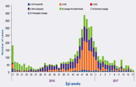 Figure_2._Weekly_positive_cases_of_influenza_by_sub-type_April_2016_-_April_2017 Figure_2._Weekly_positive_cases_of_influenza_by_sub-type_April_2016_-_April_2017