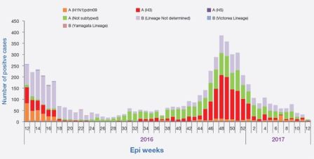 Figure 2. Weekly positive cases of influenza by sub-type, March 2016-March 2017 Figure 2. Weekly positive cases of influenza by sub-type, March 2016-March 2017