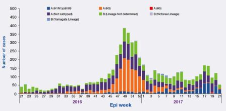 Figure_2._Weekly_positive_cases_of_influenza_by_sub-type_May_2016_-_May_2017 Figure_2._Weekly_positive_cases_of_influenza_by_sub-type_May_2016_-_May_2017