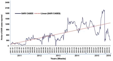Influenza surveillance in the Region