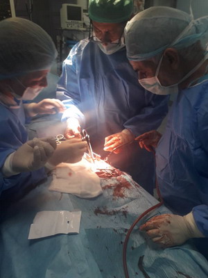 WHO Libya teams saving lives on Tripoli’s front lines