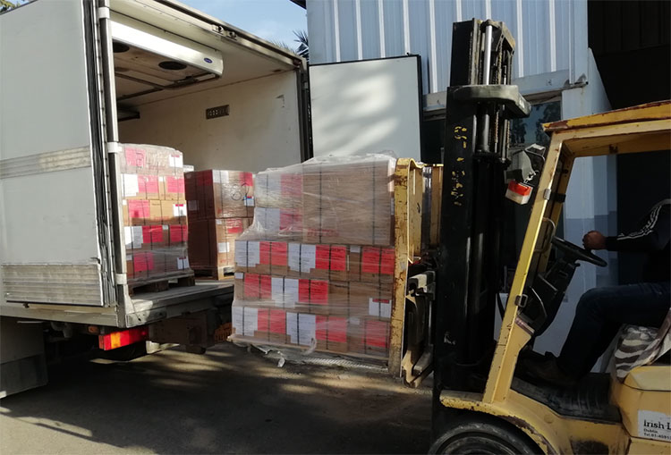 في خضم اشتباكات طرابلس، منظمة الصحة العالمية تدفع بالمساعدات الطبية للجرحى في ليبيا في خضم اشتباكات طرابلس، منظمة الصحة العالمية تدفع بالمساعدات الطبية للجرحى في ليبيا