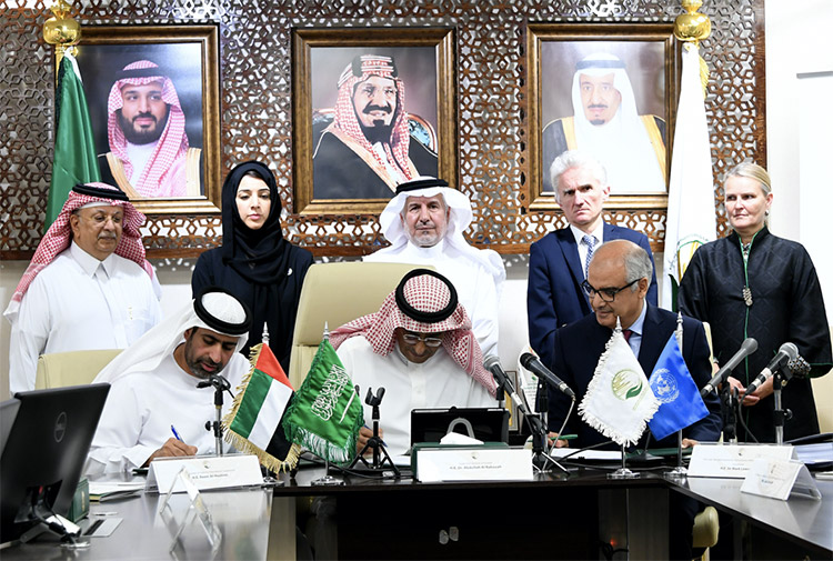 المملكة العربية السعودية والإمارات العربية المتحدة تدعمان الخدمات الصحية الأساسية لملايين السكان في اليمن المملكة العربية السعودية والإمارات العربية المتحدة تدعمان الخدمات الصحية الأساسية لملايين السكان في اليمن