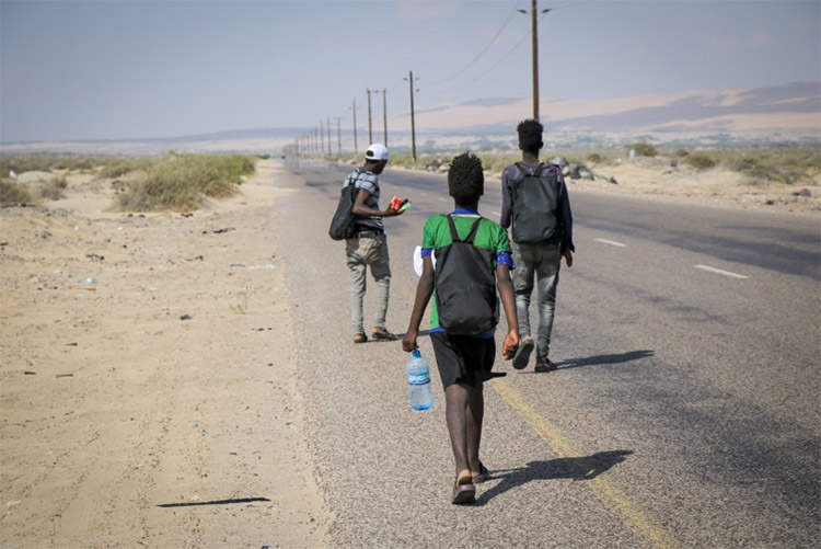 منظمة الصحة العالمية والمنظمة الدولية للهجرة تُعربان عن قلقهما بسبب التمييز ضد المهاجرين في اليمن بخصوص كوفيد-19 منظمة الصحة العالمية والمنظمة الدولية للهجرة تُعربان عن قلقهما بسبب التمييز ضد المهاجرين في اليمن بخصوص كوفيد-19