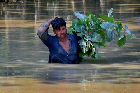 WHO Director-General's statement on Pakistan