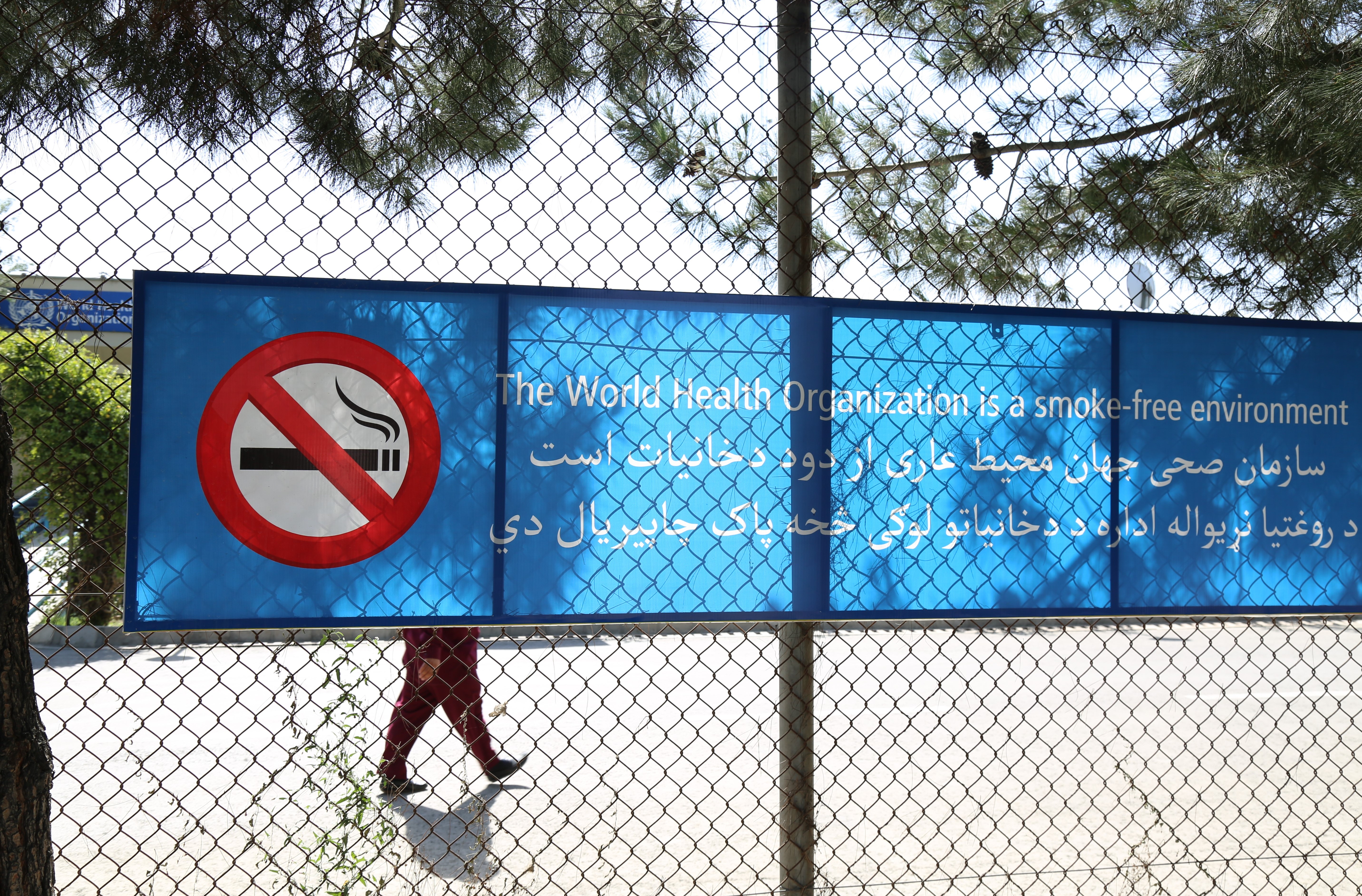 WHO Afghanistan declares its office a smoke free environment