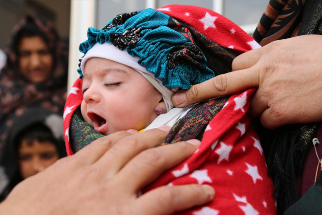 After the campaign, more than 1,800 independent monitors were deployed to find any missed children and record the reason they were missed. This information will help the preparation for the next campaign. In a local health centre in Herat, Najibullah Mohammadi conducted a fingermarking survey to check if every child had a little blue pen mark on their fingers. On little babies the mark was drawn on the ear - an easy way to show they have been vaccinated whilst keeping them wrapped up warm. 45-day-old Rokshana was found to be vaccinated. Rokshana and every child deserves a healthy, polio-free life. Thanks to the work of the thousands of volunteers and polio workers, Afghanistan is one step closer to eradicating the disease.