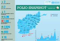 Polio_snapshot