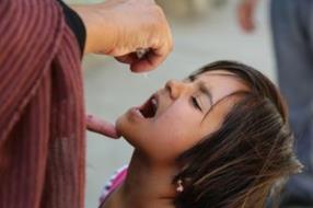 Massive polio vaccination campaign in Afghanistan targets over 9.5 million children