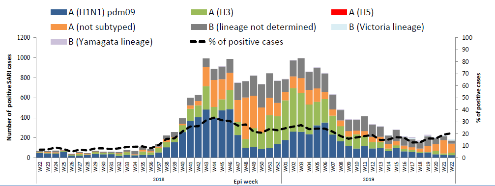 20190611_WHO_EMRO_WHE_IHM_Influenza_monthly_2