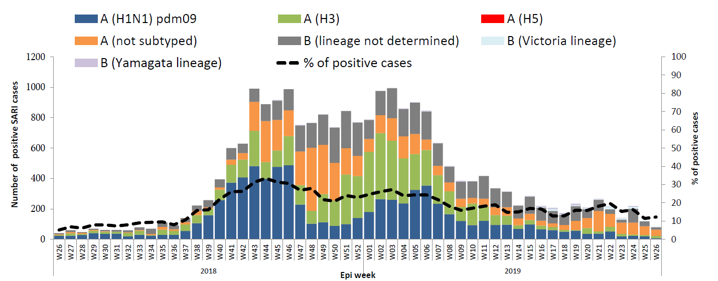 20190708_WHO_EMRO_WHE_IHM_Influenza_monthly_2