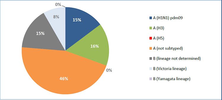 20191009_who_emro_whe_ihm_Influenza_monthly_3