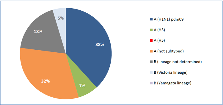 20191212_who_emro_whe_ihm_Influenza_monthly_3