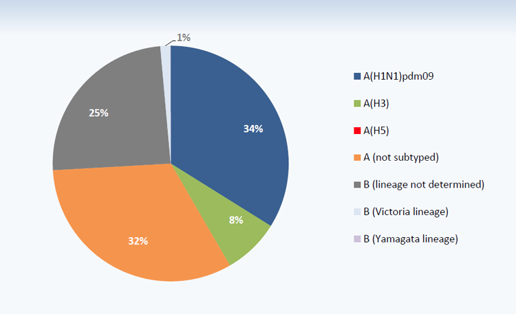 20191212_who_emro_whe_ihm_Influenza_monthly_3