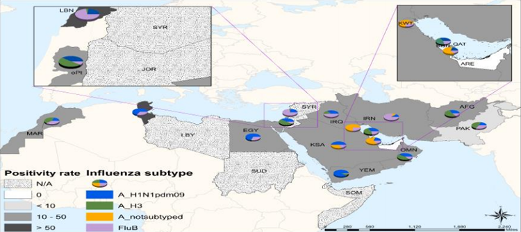 Influenza geographic spread