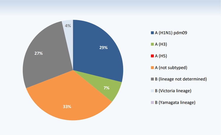 20200213_who_emro_whe_ihm_Influenza_monthly_3