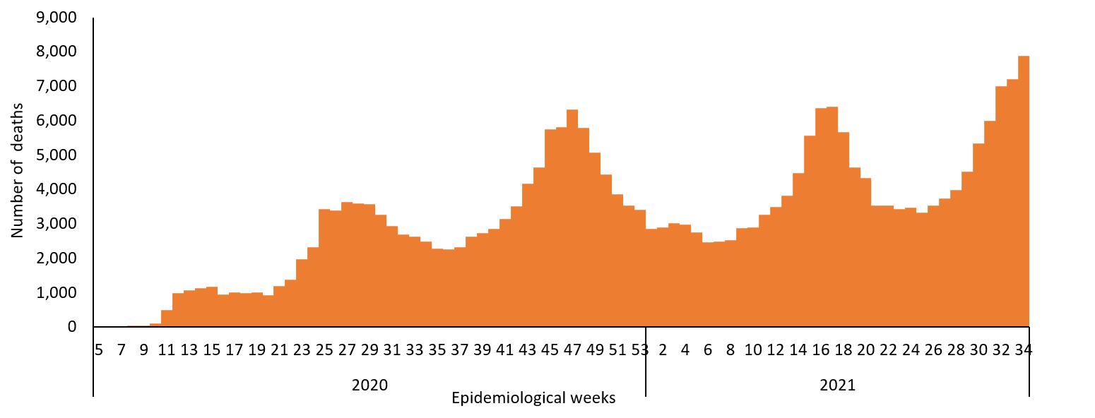 COVID-19 epidemiological weeks for deaths