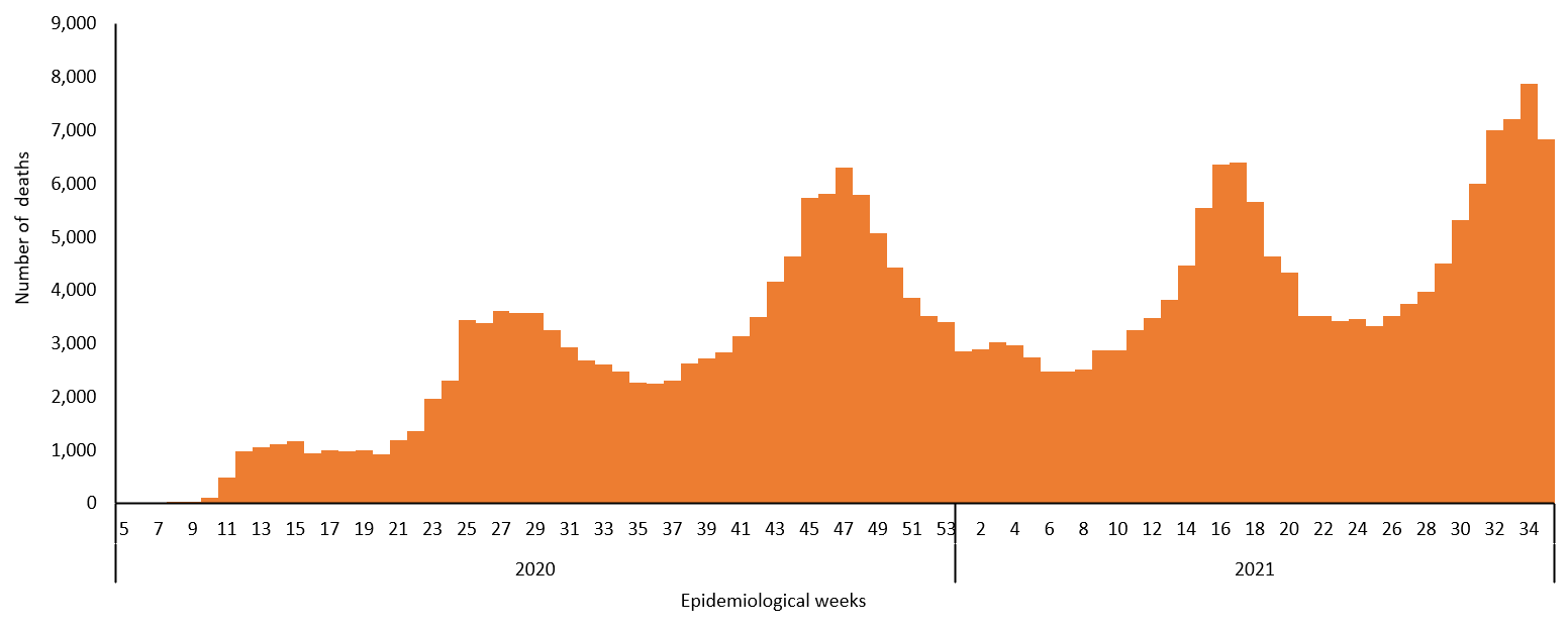 COVID-19 situation update for deaths