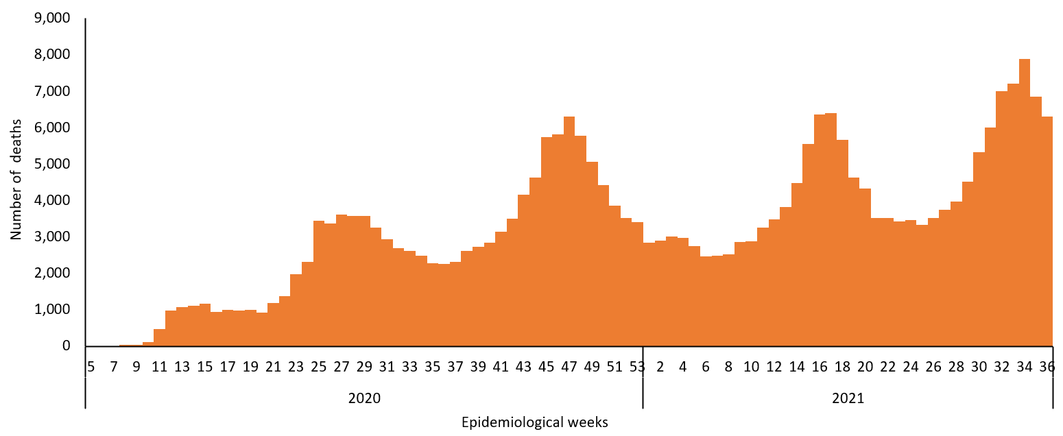 COVID-19 epidemiological weeks for deaths