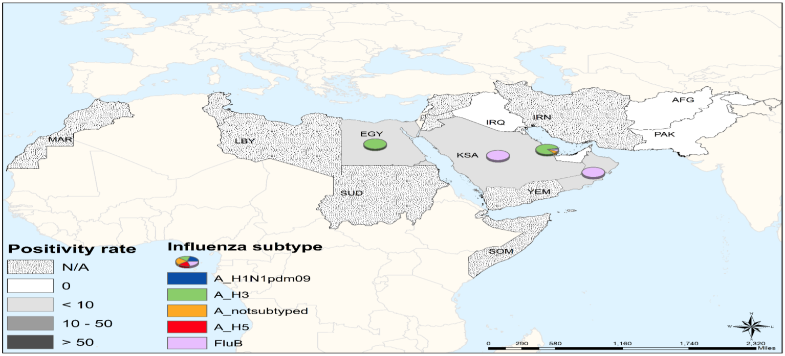 Positivity rate and influenza subtype in the WHO Eastern Mediterranean Region Map showing positivity rate and influenza subtype in the WHO Eastern Mediterranean Region