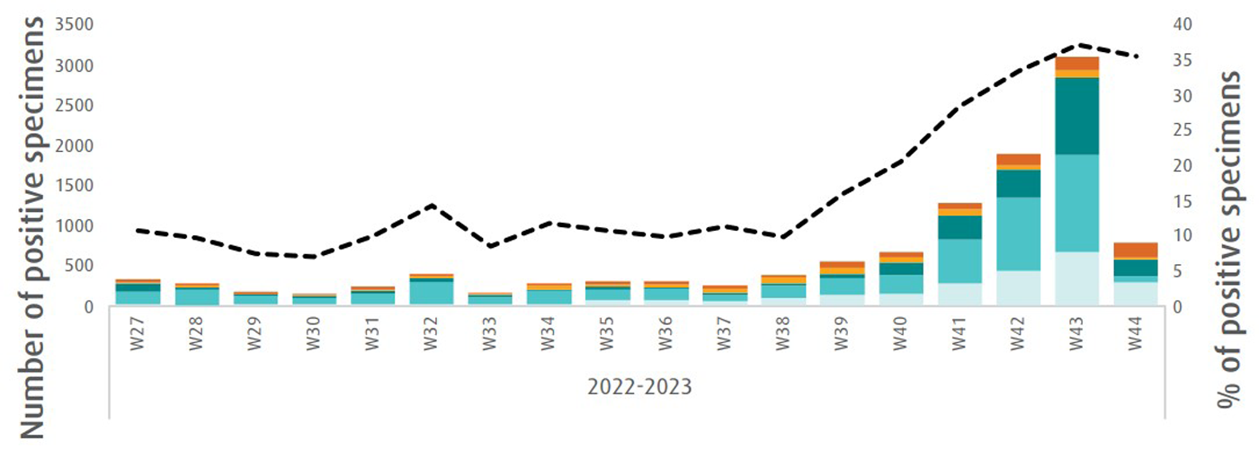 Weekly-influenza-update-week-44-2022