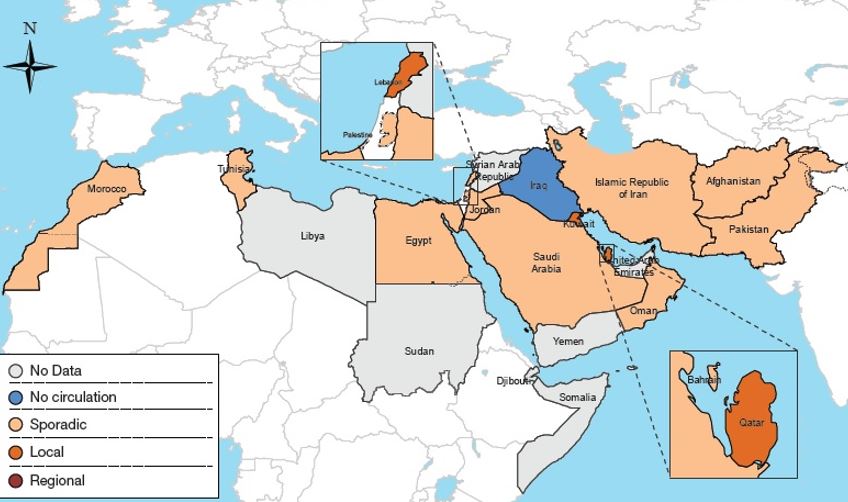 Fig. 1. Influenza geographic spread  in Eastern Mediterranean Region, May 2018