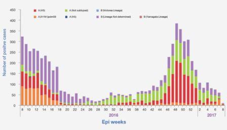 Weekly positive cases of influenza by sub-type, February 2016 to February 2017