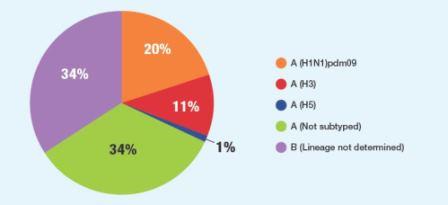 Circulating influenza viruses in the WHO Eastern Mediterranean Region by type for EPI weeks 5 to 8