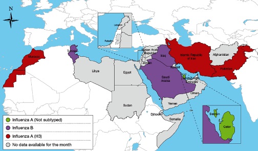 Map_of_circulating_influenza_viruses