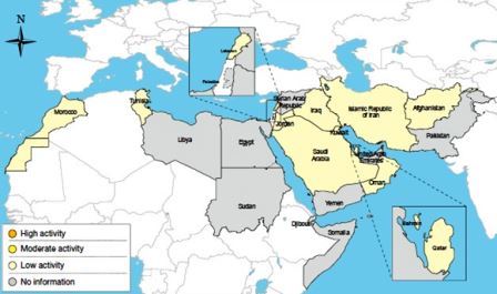 Map_of_the_Region_influenza