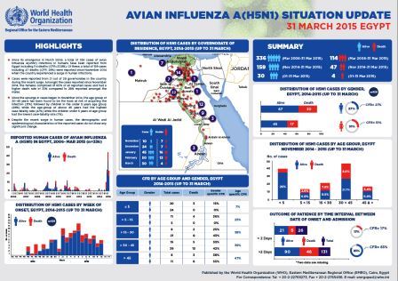 رسم توضيحي يقدم لمحة عامة عن حالة فيروس H5N1 في مصر حتى 31 أيار/مايو 2015