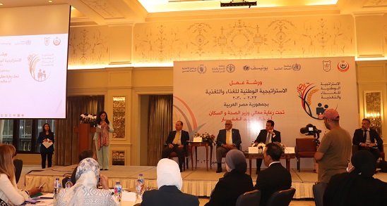 Egypt develops national strategy for food and nutrition 2022–2030