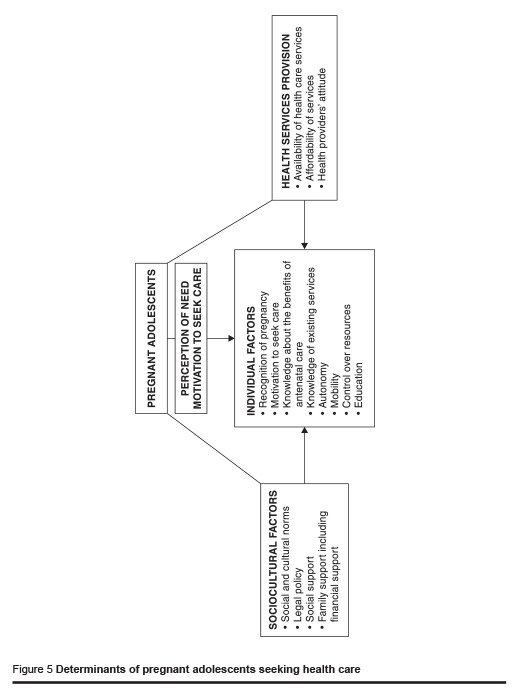 Figure 5 Determinants of pregnant adolescents seeking health care 