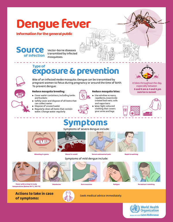 Dengue  posters