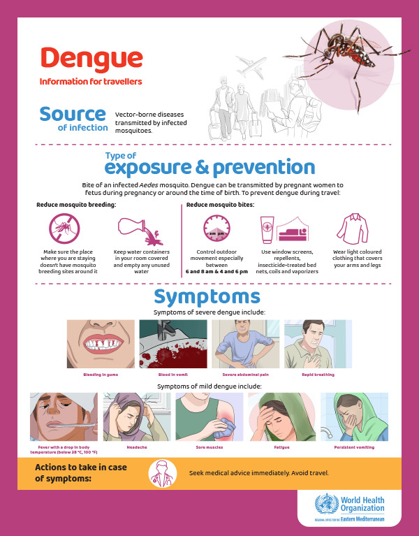 Dengue  posters