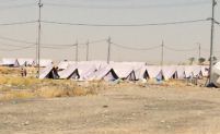 Situation report update 26 July 2014