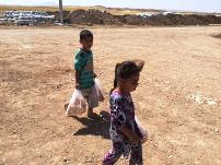 Situation report update, 27 August 2014