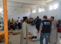 Situation report update, 9–24 August 2014