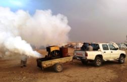 spraying