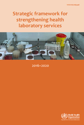 Strategic framework for strengthening health laboratory services 2016–2020 