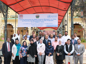 Training workshop for Ministry of Health PHC programme managers