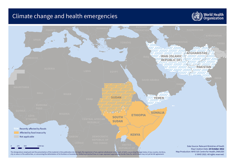 2022 in focus: With recent floods and drought impacting health in several countries in the Eastern Mediterranean Region, WHO warns that extreme weather will lead to extreme disease