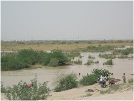 Water of the Nae Gaj river is flowing slowly